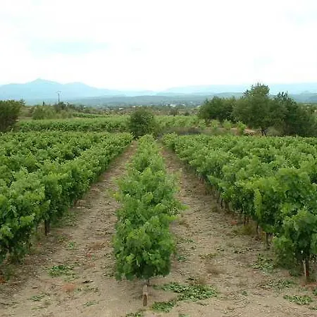 Domaine De Peyre Brune Beaulieu (Ardeche)